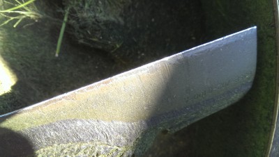 IMAG1278.jpg