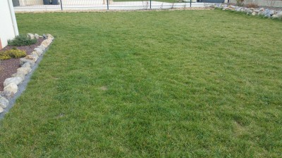 20170303_162049.jpg
