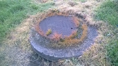 WP_20170306_001.jpg