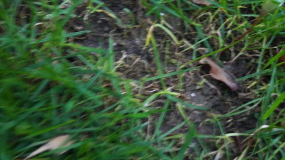 20170310_184911.jpg