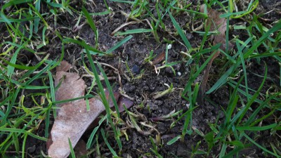 20170310_184847.jpg
