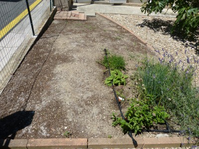 Photo 2 parterre 12 m2 le 29 Juin 2015