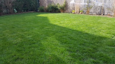 20170323_103721.jpg
