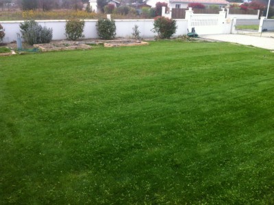 photo 1-6.JPG