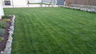 20170403_200817.jpg