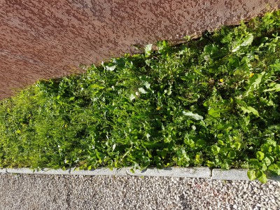 20170407_095521.jpg