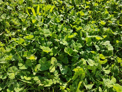 20170407_095610.jpg