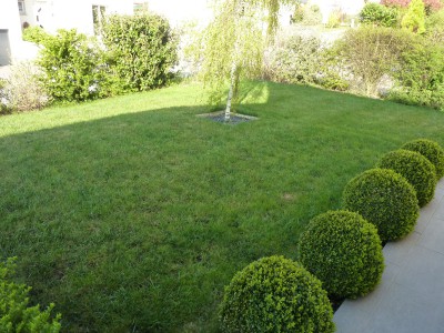 photo1.JPG