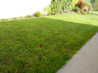 photo2.JPG