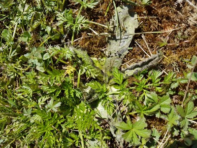 20170408_123351.jpg