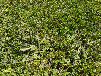 20170408_123447.jpg