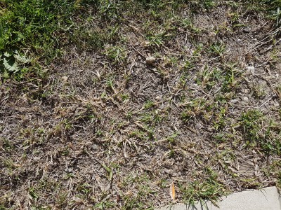 20170407_102703.jpg