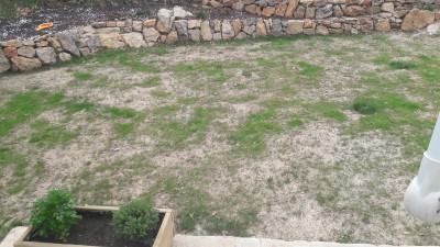 20170411_152450.jpg