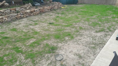 20170411_152456.jpg