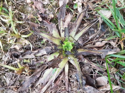 20170415_185406.jpg