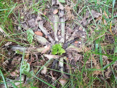 20170415_185307.jpg