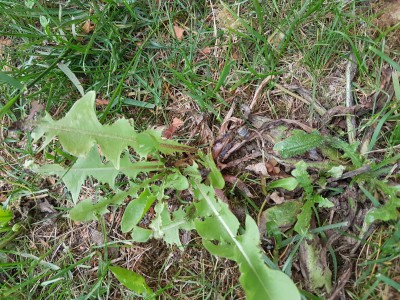 20170415_185331.jpg
