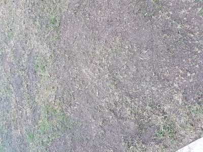 20170417_200235.jpg