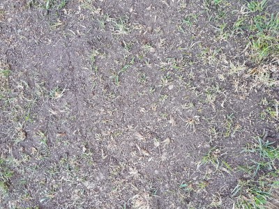 20170417_200225.jpg