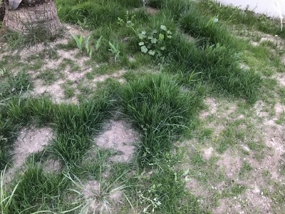 début mars