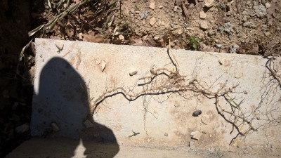 WP_20170422_13_47_38_Pro.jpg
