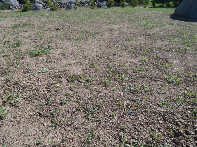 20170424_105759.jpg