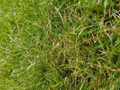 20170428_123459.jpg