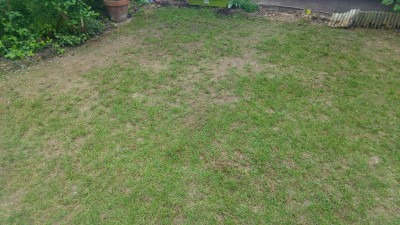 20170415_152951_HDR.jpg