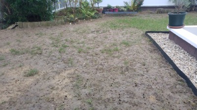20161102_080751_HDR.jpg