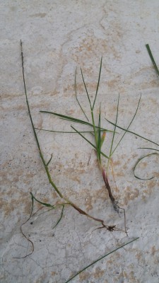 20170504_205456.jpg