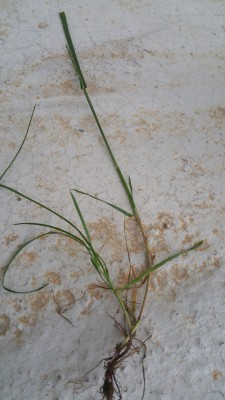 20170504_205506.jpg