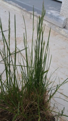 20170504_205516.jpg