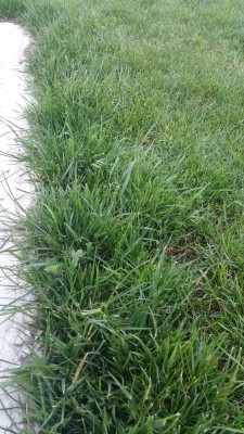 20170504_205554.jpg