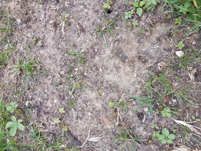 20170505_133722_001.jpg