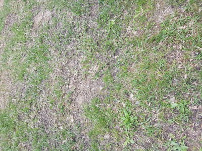 20170505_133715.jpg