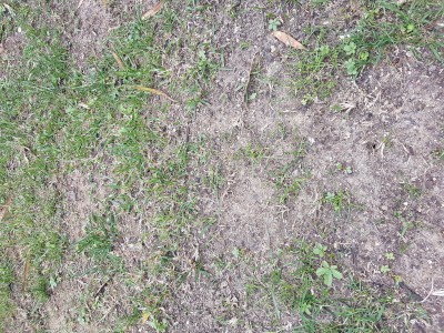 20170505_133702.jpg