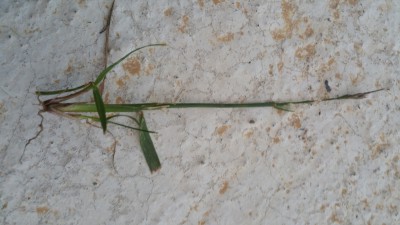 20170505_210208.jpg