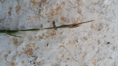 20170505_210216.jpg