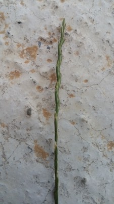 20170505_210245.jpg