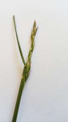 20170506_101352.jpg