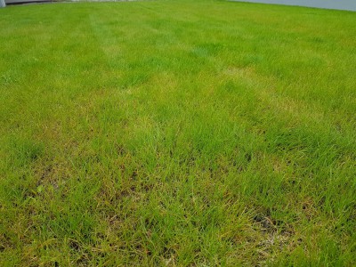 20170507_094137.jpg