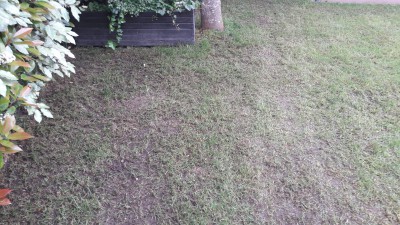 20170507_172402.jpg