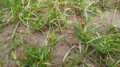 20170508_094321_HDR.jpg