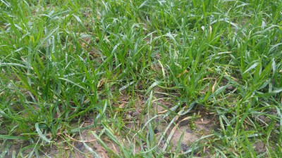20170508_094331_HDR.jpg