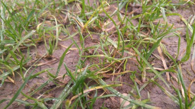 20170508_094346_HDR.jpg