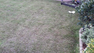 20170508_121741.jpg