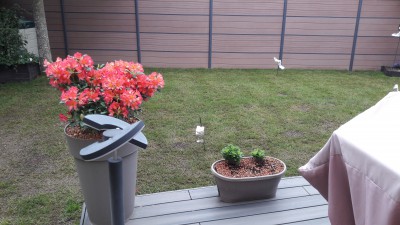 20170508_121756.jpg