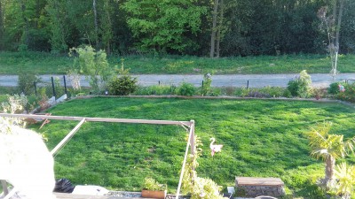 20170509_195203_resized.jpg