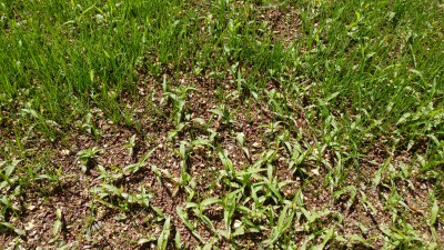20170510_114618.jpg