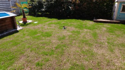 20170510_114610.jpg